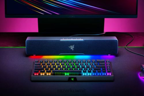 صوت الألعاب Razer ليفياثان الإصدار 2 س لون واحد 86D68684