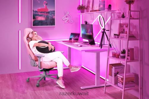 كرسي الألعاب Razer إنكي كوارتز 86D686133