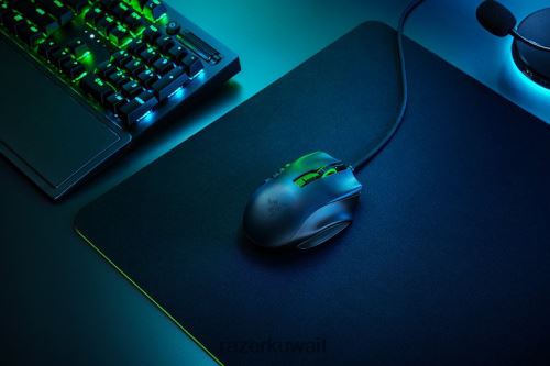 الفئران Razer النجا العاشر لون واحد 86D68649