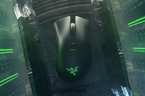 الفئران Razer Deathadder v2 pro أسود 86D68641