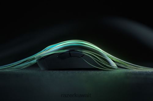الفئران Razer Deathadder v2 pro أسود 86D68641