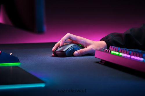 الفئران Razer Deathadder v2 pro أسود 86D68641