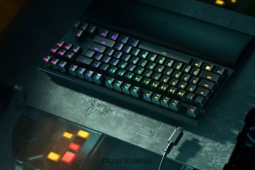 لوحة المفاتيح Razer Huntsman V2 Tenkeyless - مفتاح بصري نقري - الولايات المتحدة أسود 86D68671