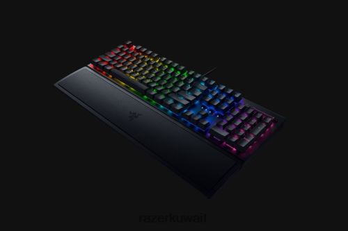 لوحة المفاتيح Razer بلاك ويدو v3 - المفتاح الأصفر - لنا أسود 86D68661