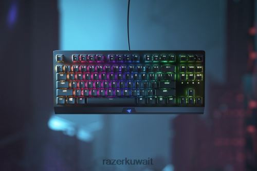 لوحة المفاتيح Razer بلاك ويدو v3 بدون مفتاح - مفتاح أصفر - لنا أسود 86D68662