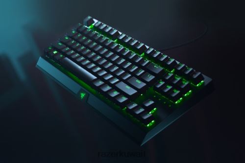 لوحة المفاتيح Razer بلاك ويدو v3 بدون مفتاح - مفتاح أصفر - لنا أسود 86D68662