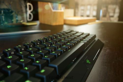لوحة المفاتيح Razer بلاك ويدو v3 ميني هايبر سبيد - مفتاح أصفر - الولايات المتحدة أسود 86D68663