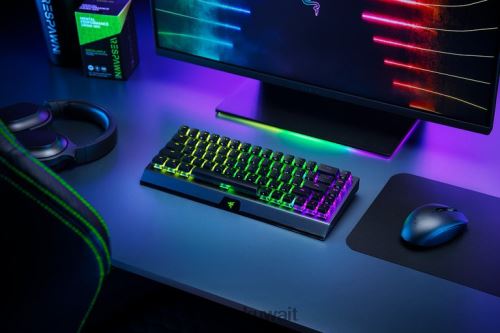 لوحة المفاتيح Razer بلاك ويدو v3 ميني هايبر سبيد - إصدار فانتوم - مفتاح أصفر - الولايات المتحدة أسود 86D68664